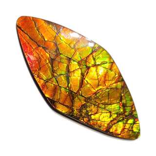 Ammolite Freeform Gemstone - 1520724-A2