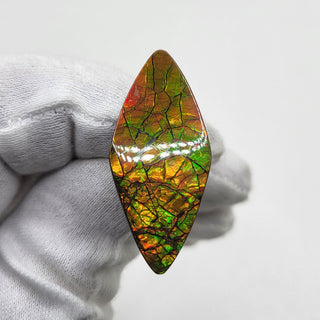 1520724 - Freeform - Shield (Grade: A / A2)
