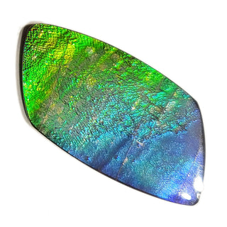 Ammolite Freeform Gemstone - 1830724-A4