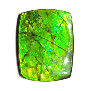Ammolite Freeform Gemstone - 1860724-A2