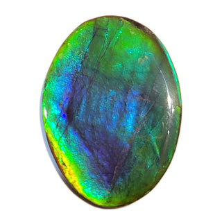Ammolite Freeform Gemstone - 2020724-A3