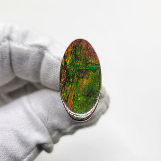 Ammolite Oval Shaped Freeform Loose Gemstone 2070724 - 0 Degrees