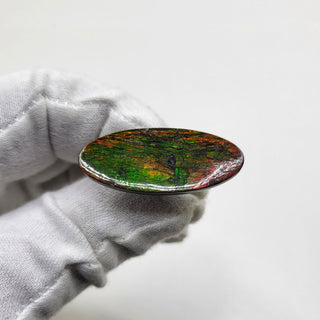 2070724 - Freeform - Oval - (Grade: A / A2)