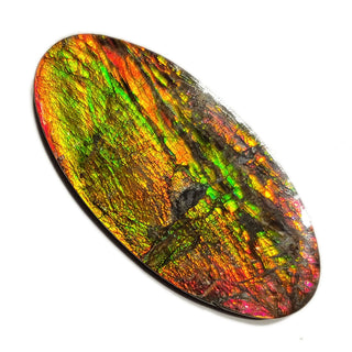 Ammolite Oval Shaped Freeform Loose Gemstone 2070724