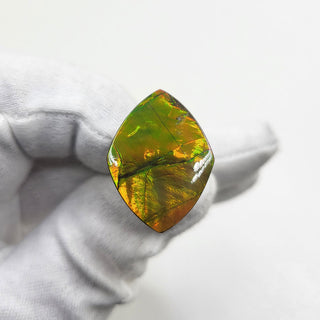 Ammolite Shield Shaped Freeform Loose Gemstone 2080724-0