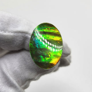 2090724 - Freeform - Oval - (Grade: A+ / A3)
