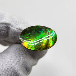 2090724 - Freeform - Oval - (Grade: A+ / A3)