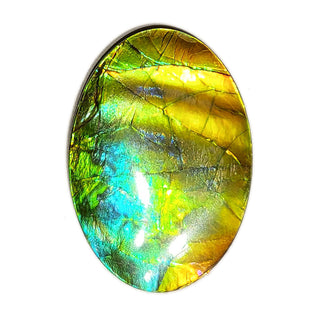 Ammolite Freeform Gemstone - 2090724-A3