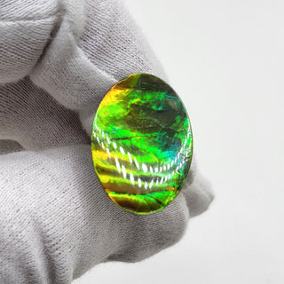 2090724 - Freeform - Oval - (Grade: A+ / A3)