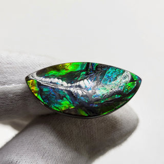 Ammolite Eye Shaped Freeform Loose Gemstone 2100724-0