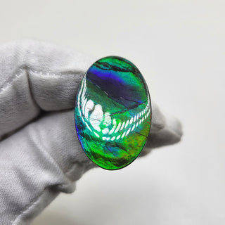 2140724 - Freeform - Oval - (Grade: A+ / A3)