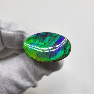 2140724 - Freeform - Oval - (Grade: A+ / A3)