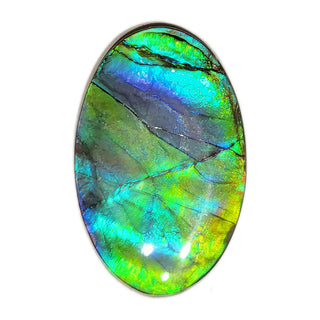 Ammolite Freeform Gemstone - 2140724-A3