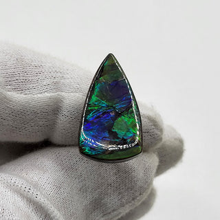 2170724 - Freeform - Shield (Grade: A / A2)