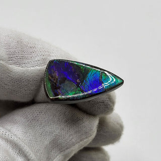 2170724 - Freeform - Shield (Grade: A / A2)