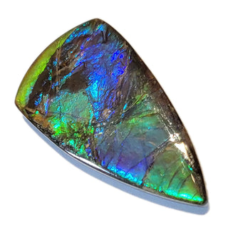 2170724 - Freeform - Shield (Grade: A / A2)