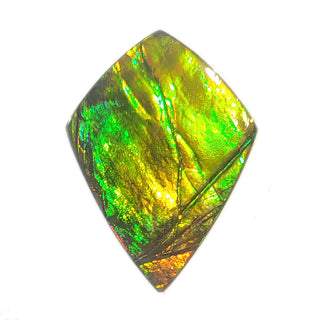 Ammolite Freeform Gemstone - 2310924-A3