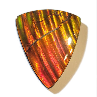 Ammolite Freeform Gemstone - 2360924-A3