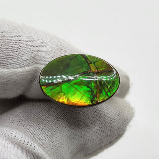 2390924 - Freeform - Oval - (Grade: A / A2)