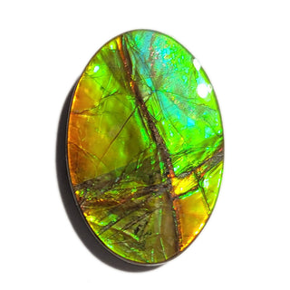 2390924 - Freeform - Oval - (Grade: A / A2)