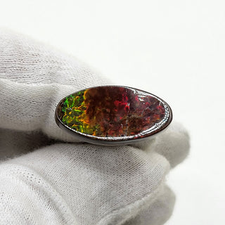 2550924 - Freeform - Oval - (Grade: A- / A1)