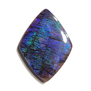 Ammolite Freeform Gemstone - 2590924-A3