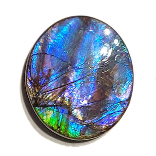 Ammolite Freeform Gemstone - 2650924-A3