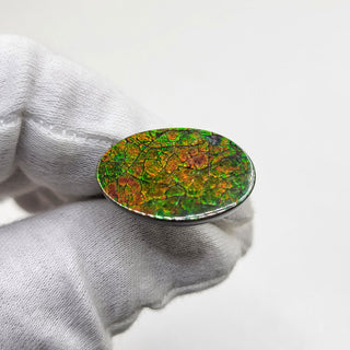 2720924 - Freeform - Oval - (Grade: A / A2)
