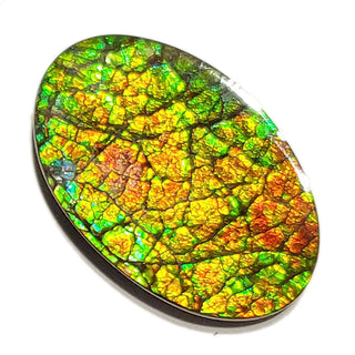 Ammolite Freeform Gemstone - 2720924-A2