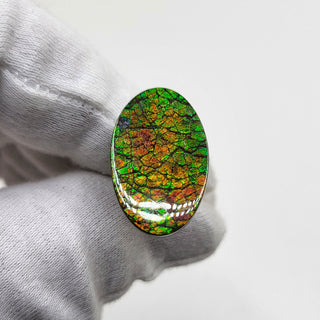 2720924 - Freeform - Oval - (Grade: A / A2)