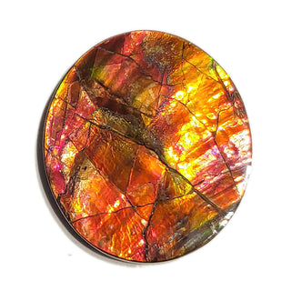 Ammolite Freeform Gemstone - 2850924-A2