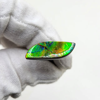 2870924 - Freeform - Leaf - (Grade: A+ / A3)