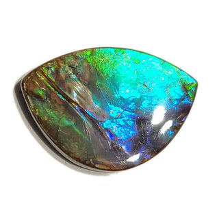 Ammolite Freeform Gemstone - 2920924-A3
