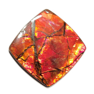Ammolite Freeform Gemstone - 2930924-A2