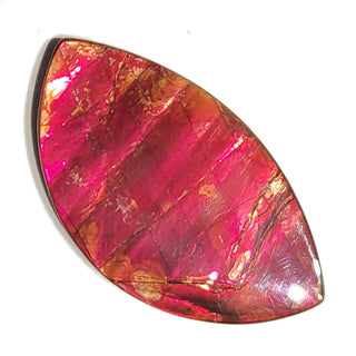Ammolite Freeform Gemstone - 2970924-A2