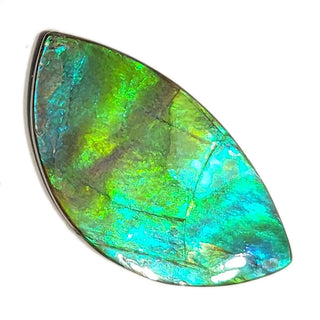 Ammolite Eye Shaped Freeform Loose Gemstone 3150924