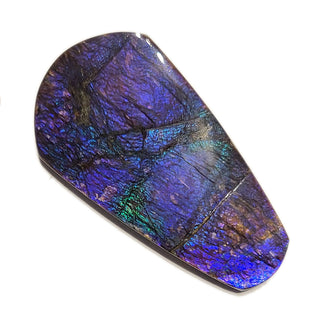 Ammolite Freeform Gemstone - 3180924-A3