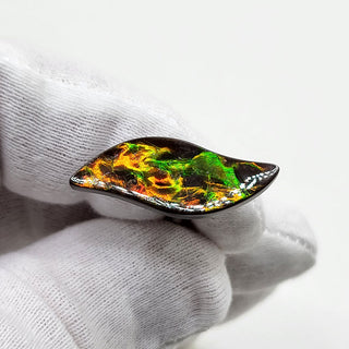 3240924 - Freeform - Sw Leaf (Grade: A / A2)