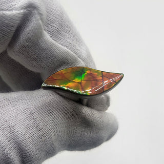 3250924 - Freeform - Sw Leaf (Grade: A+ / A3)