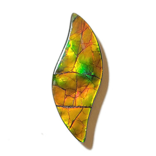 Ammolite Freeform Gemstone - 3250924-A3