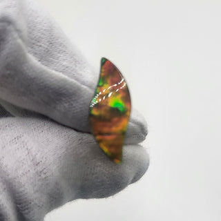 3250924 - Freeform - Sw Leaf (Grade: A+ / A3)