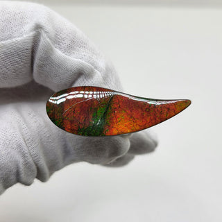 3290924 - Freeform - Sw Pear (Grade: A / A2)