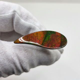 3290924 - Freeform - Sw Pear (Grade: A / A2)