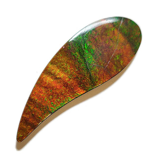 Ammolite Freeform Gemstone - 3290924-A2