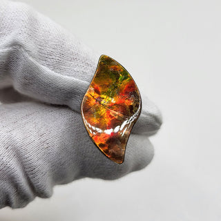 Ammolite Swept Leaf Shaped Freeform Loose Gemstone 3300924-0