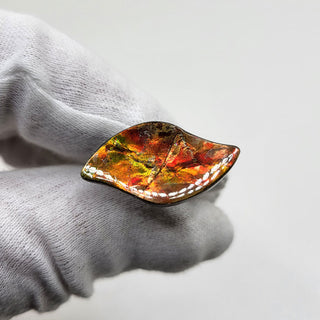 3300924 - Freeform - Sw Leaf (Grade: A / A2)