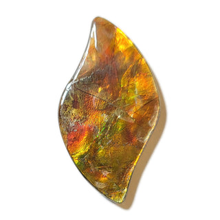 Ammolite Swept Leaf Shaped Freeform Loose Gemstone 3300924