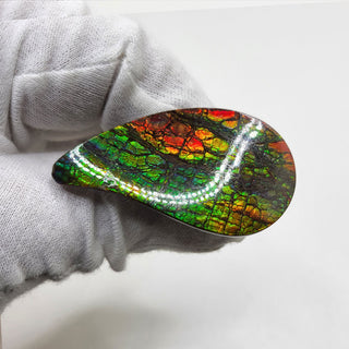 3411024 - Freeform - Sw Pear (Grade: A+ / A3)