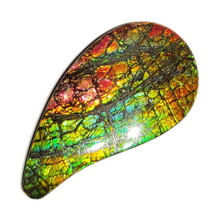 Ammolite Freeform Gemstone - 3411024-A3