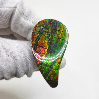 3411024 - Freeform - Sw Pear (Grade: A+ / A3)